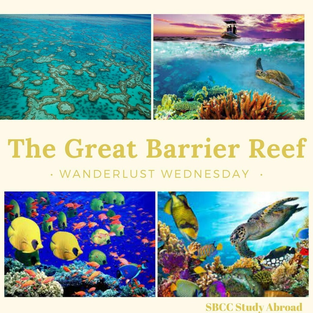 StudyAbroadSBCC's tweet photo. Happy Wanderlust Wednesday!! 

Today we are exploring the jaw dropping Great Barrier Reef in Australia! 

DID YOU KNOW!?

1. The Great Barrier Reef is the largest living thing on Earth and is visible from outer space!

2. 10% of the world's total fish sp… https://t.co/RMgaQ4oeEc https://t.co/MK6NxG4exE
