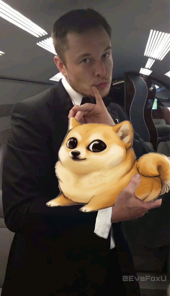 tiger_00786's tweet photo. @elonmusk Giving away 100000 DOGE Coins to one lucky person who will retweet and follow me.not kidding at all https://t.co/IwlgXu8GnT