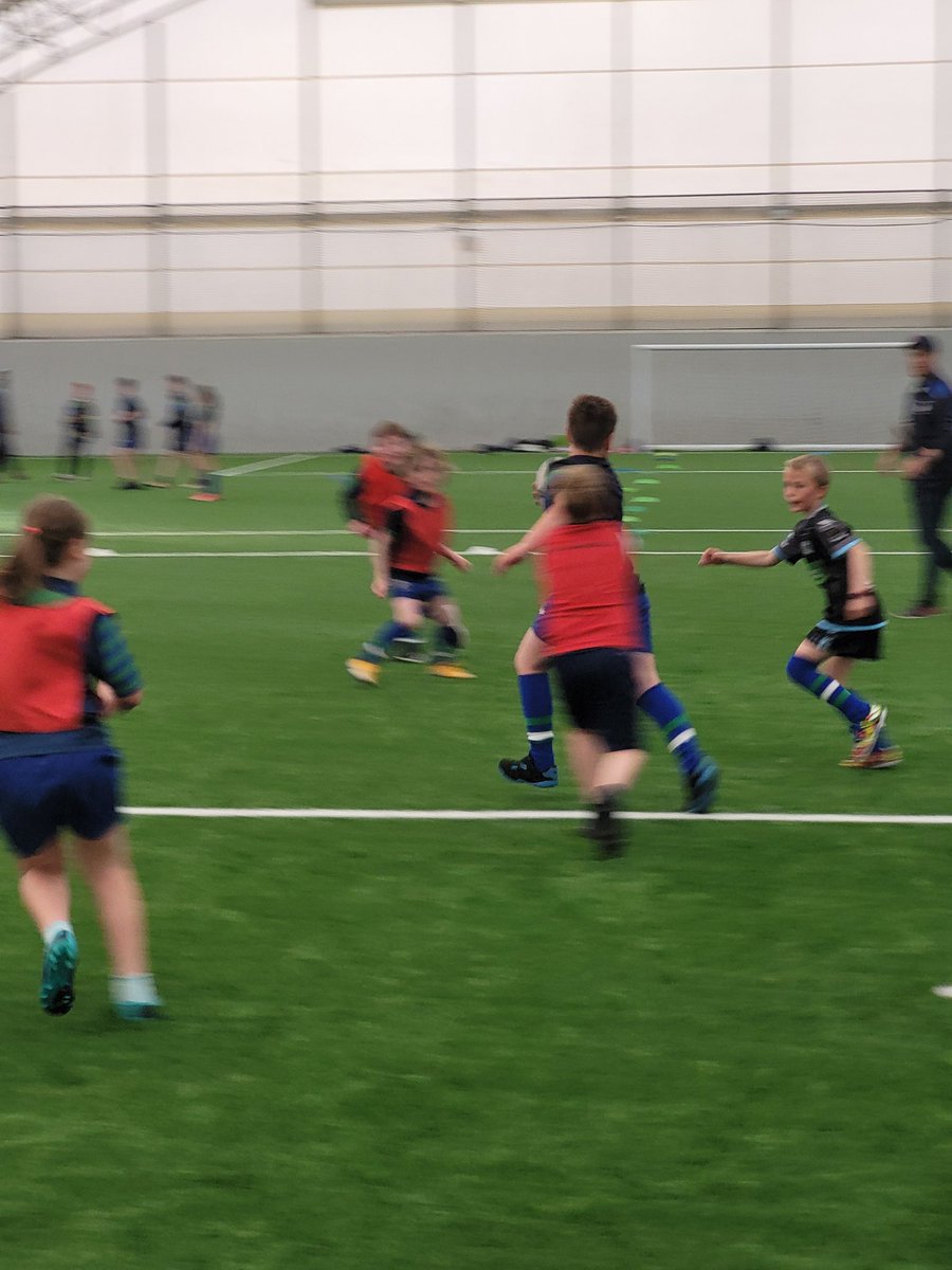 AileenNewton1's tweet photo. Wednesday night training for P4 @HamiltonBulls . Anyone with kids interested in trying rugby, please contact @steven_meenagh or by email on stevenmeenagh@hamiltonrugby.co.uk https://t.co/bhS3L60Tj6