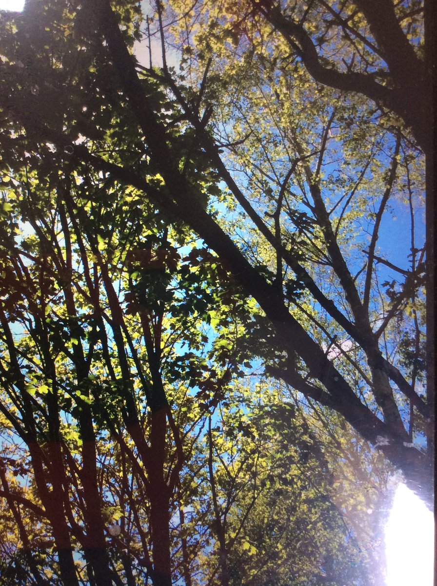 Fun in the sun for nature Rangers today