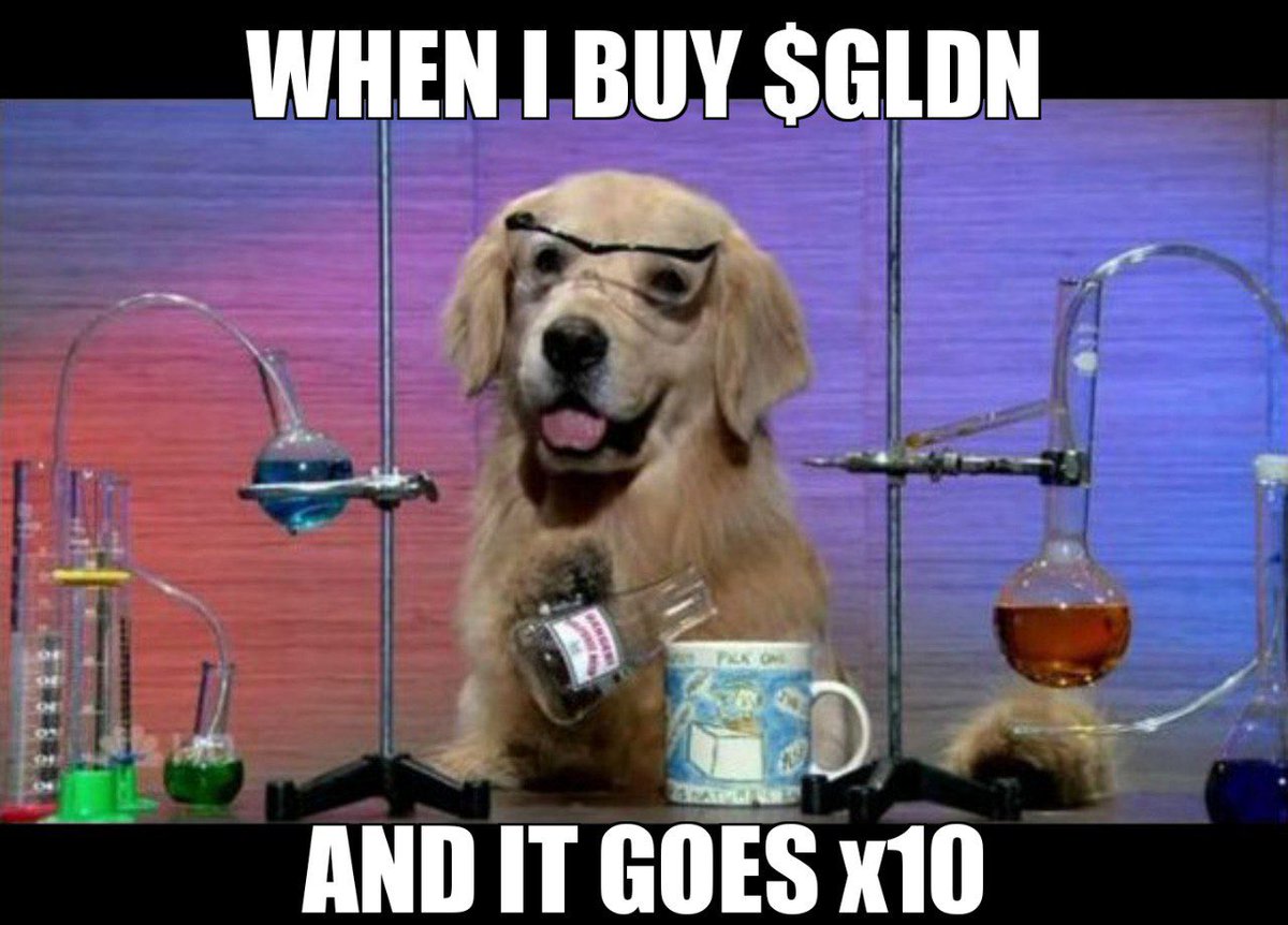 GldnToken's tweet photo. A #GoldenBoy is a Smart Boy! $GLDN

#goldenretrievers #Dogecoin #dog #akita #shib #ShibaSwap #shibaarmy #bitcoin #Ethereum #kishu #cryptocurrency #Moonshot #meme https://t.co/BSN33sdEGq