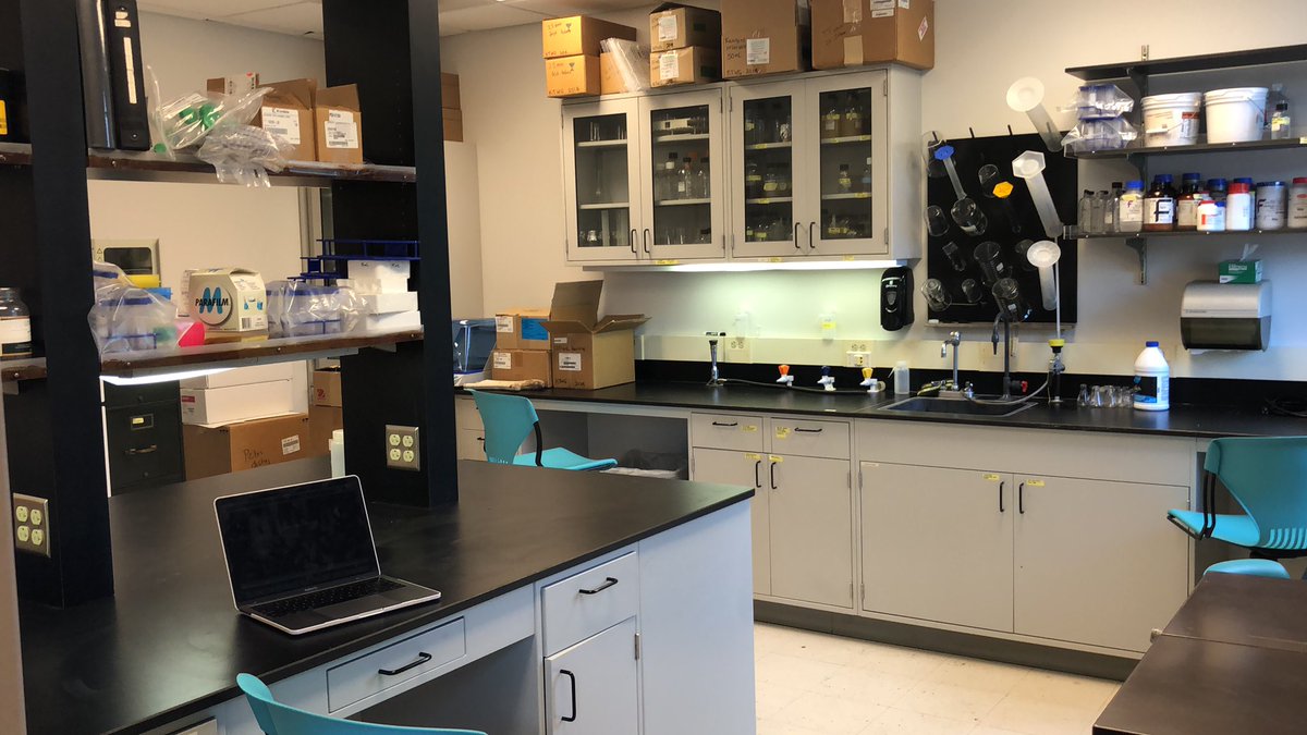 radikes's tweet photo. And through the office door is my lab! Just needs a few scopes and reagents and #Adikeslab will be up and running!!! https://t.co/5OsssO2dWB