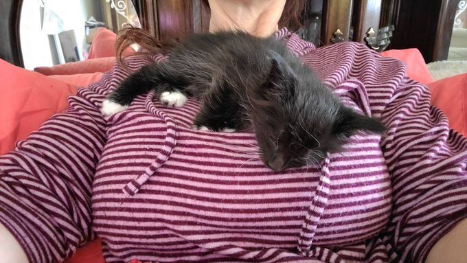 I have another fan of my boobs!!! 😊😂 https://t.co/OQ6SQtFwK3<a href="/tag/newprofilepic"class="tags"><span>#newprofilepic</span></a>