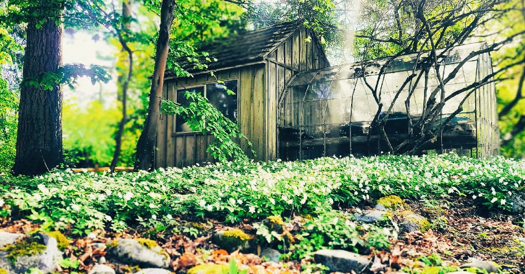 MNSTRWSKY's tweet photo. I feel like i dont post that much here on twitter, soo i decided to share some good adventures here! n.n Loved seattle soo much!!! Will definitely come back again ❤❤ #seattlelife #adventures #everret #photographer https://t.co/3hirwanuW0