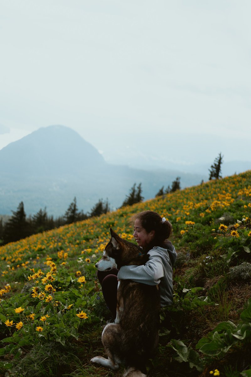 domguinnane's tweet photo. Atop the world. Or at least it felt like it. 
#bayareaphotographer #PNW https://t.co/H3jAxC0wMn