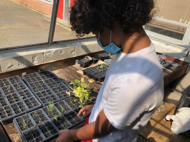 Mr. Costa’s class is getting some excellent use out of our newly refurbished greenhouse. We have tomatoes, squash, herbs &amp; flowers all sprouting. Shout out to Mr. Costa, the kiddos &amp; their green thumbs. Special thanks to  <a href="/BristolPW/">Bristol Public Works</a> and Lindsey Rivers. <a href="/BristolCTSchool/">Bristol Public Schools</a> 🌺 🍅 🌶
