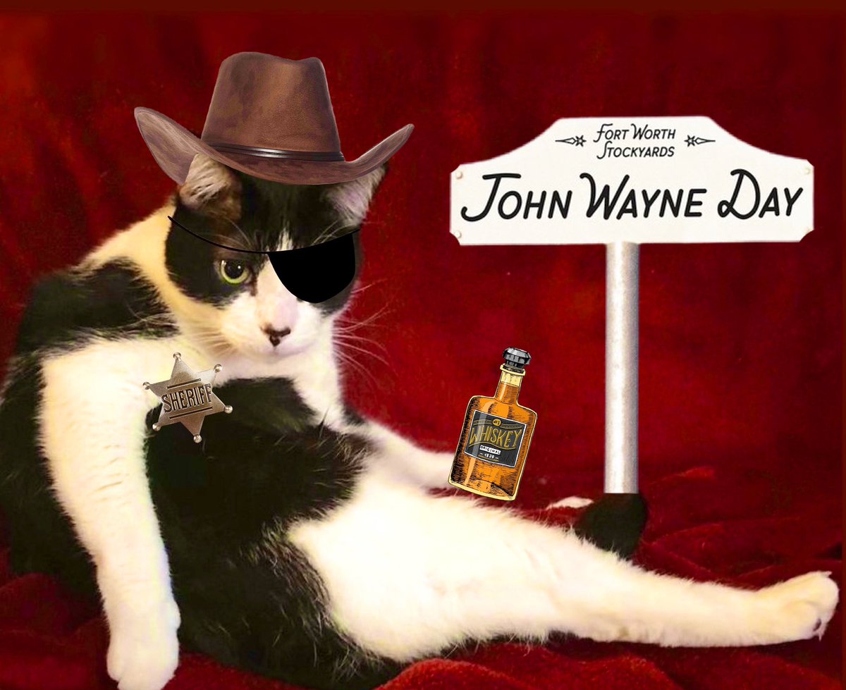 CAtFightJOy's tweet photo. Happy #JohnWayne Day! https://t.co/UZ2itD3R6c