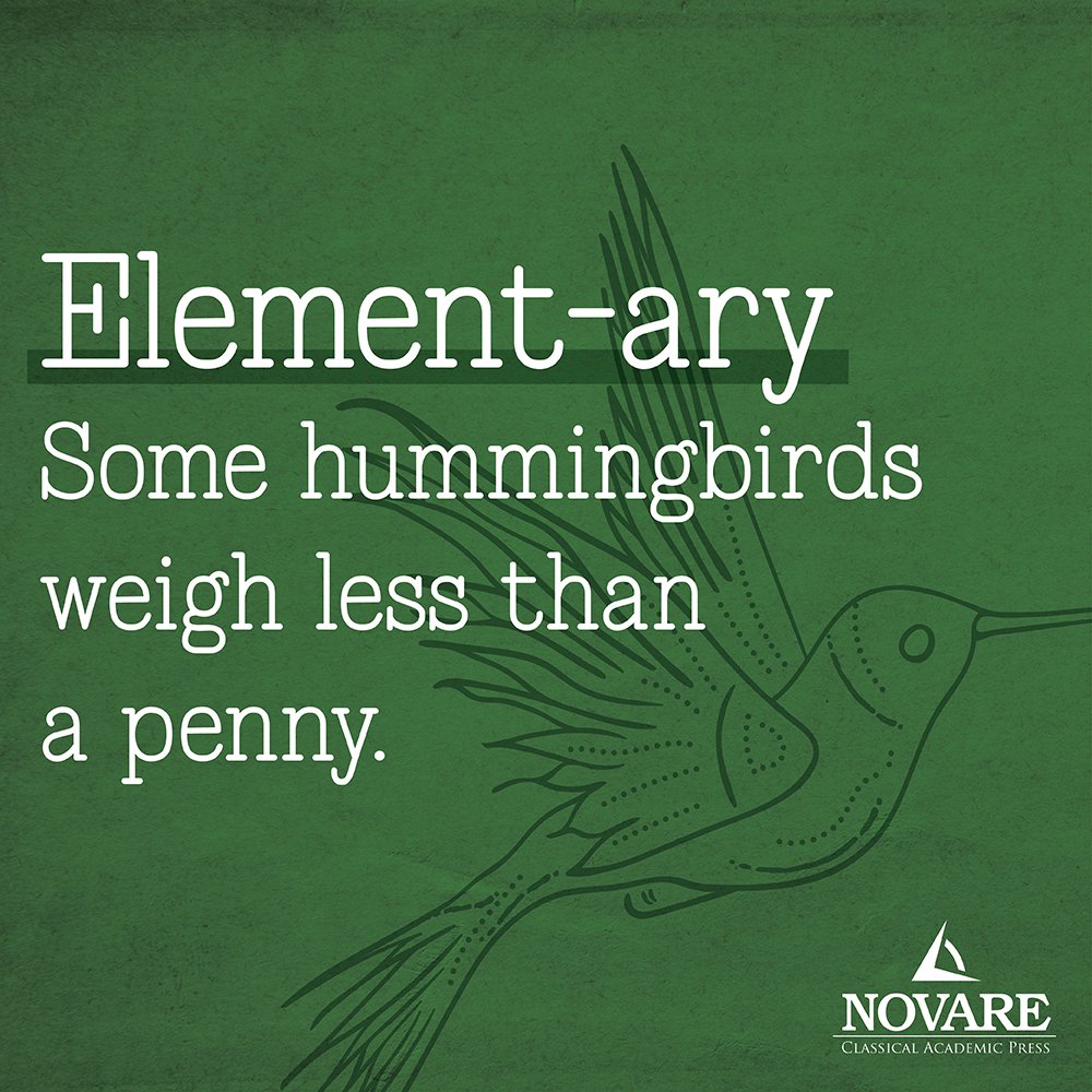 CAPressTweets's tweet image. 😍Tiny and marvelous! #NowYouKnow 

#SpringIntoScience with #NovareScience