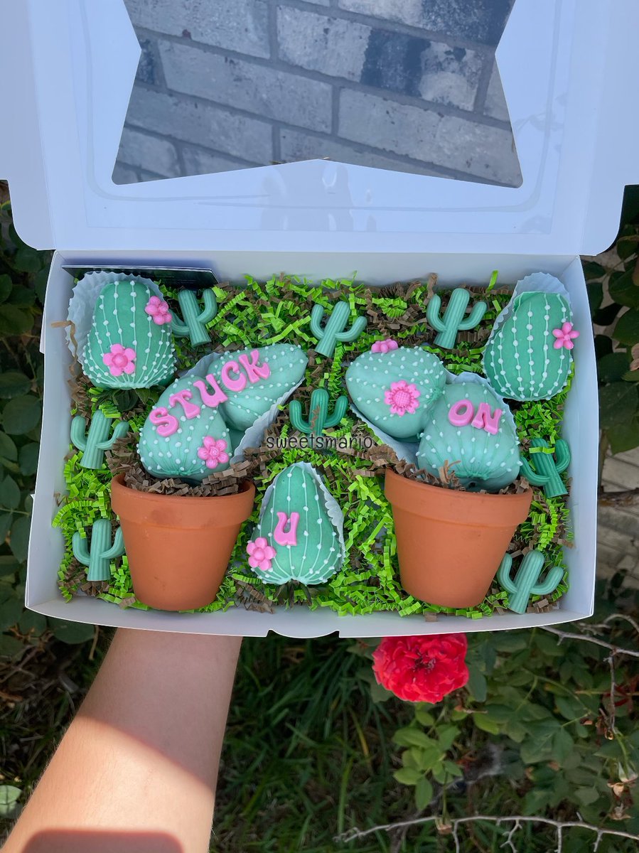 “stuck on you” 🌵🌸🌺 i’m soooo speechless😍