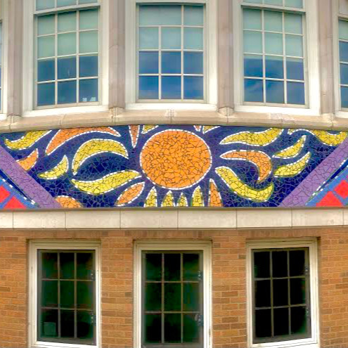 Green Star Movement tweet media