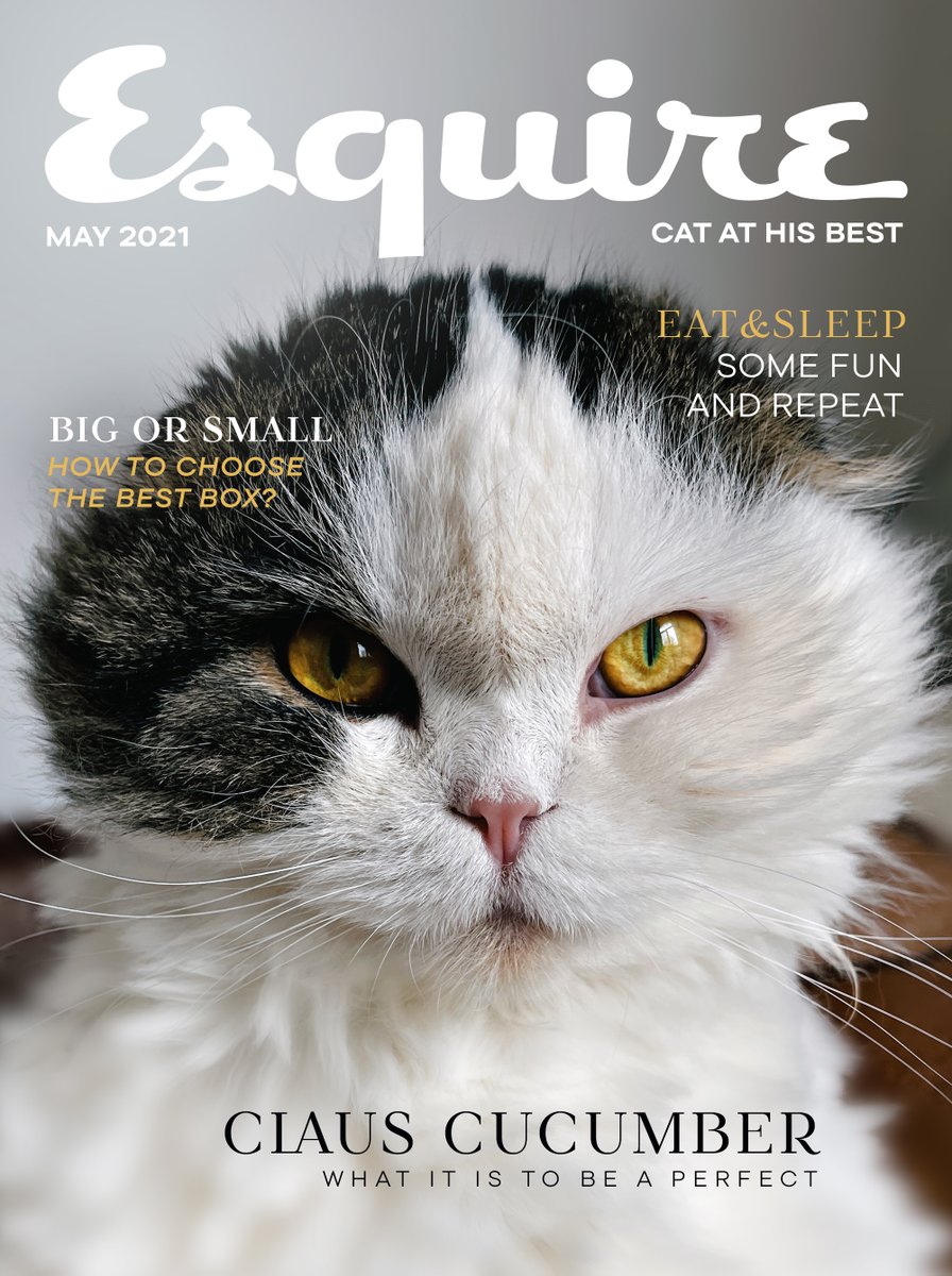 ClausCucumber's tweet photo. what it is to be a perfect

#esquire #magazinecover #esquirenl @esquire @EsquireUK #magazine #CatsOfTwitter #catsoftheday #Caturday #meow @EsquireNL @EsquireEs @esquireru https://t.co/wz9A5cX7Cj