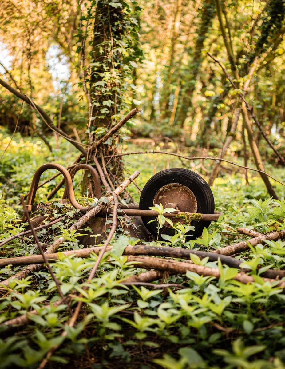 ARKPhotograph's tweet photo. A forgotten tool. Took this whilst on a walk through some untrodden woodland in Andover Hampshire.
#arkmedia #arkphotography #ukphotographer #creativeminds #nature #fogotten #abandoned #afterhumans #decay #inthewoods #nikon #nikonz6 #wheelbarrowsofinstagram #dof #nikonz2470f4s https://t.co/LHWsmR7RpN