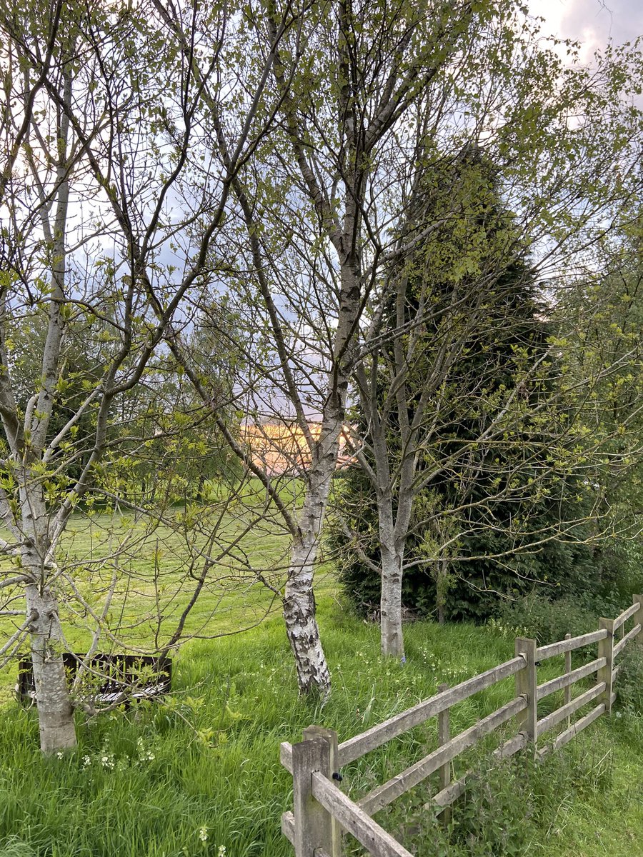 MissVDunn's tweet photo. Lovely view for the last Guide meeting of the term 🌞🌻 https://t.co/CO1cJGBF2i