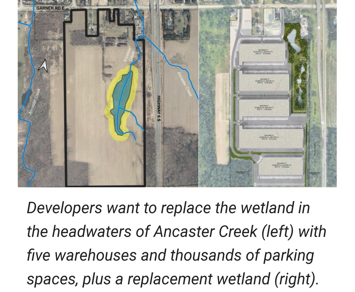 Hamilton_350's tweet photo. Here are some other things you can do: Send a letter to the Hamilton Conservation Authority. If you have already sent one you can resend it. This is helpful if you sent it before the last HCA meeting on May 6. Email Lisa.Burnside@conservationhamilton.ca. #conservationwatch 2/3 https://t.co/B1NVDdswfo