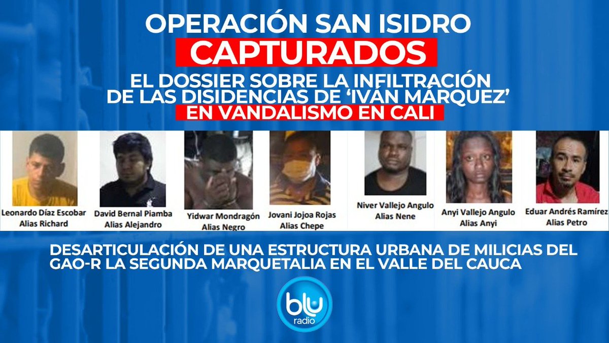 Luz Élica Herrera 🐠🦈🐳 tweet media