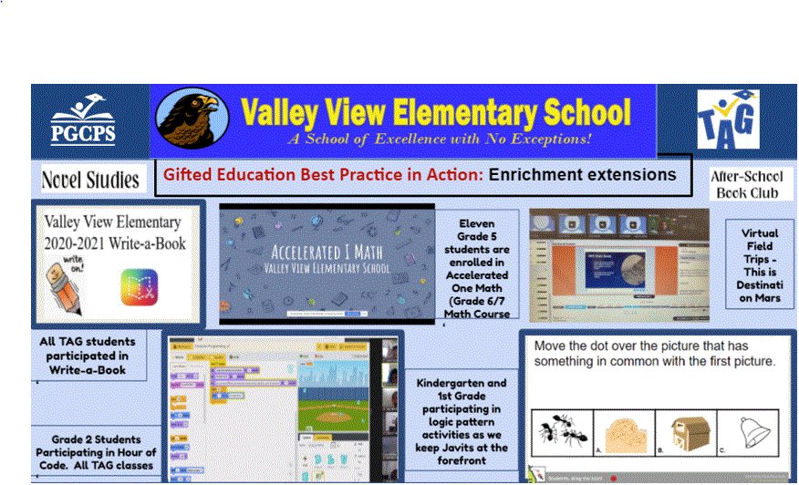 The TAG Lottery deadline is Friday, May 28, 2021.  If you have any questions regarding the Valley View ES TAG Program, please contact Deborah Brown @ deborah3.brown@pgcps.org.  We look forward to hearing from you! Stay tuned for upcoming Virtual Open House Tours.