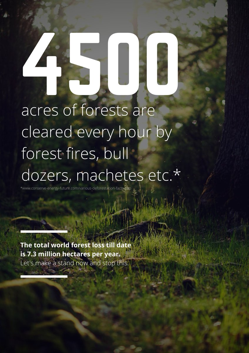 MeGreenWarrior's tweet photo. “A forest shares a history which each tree remembers even after it has been felled.” – Anne Michaels
#deforestation #savetrees https://t.co/caKK0WFYG5