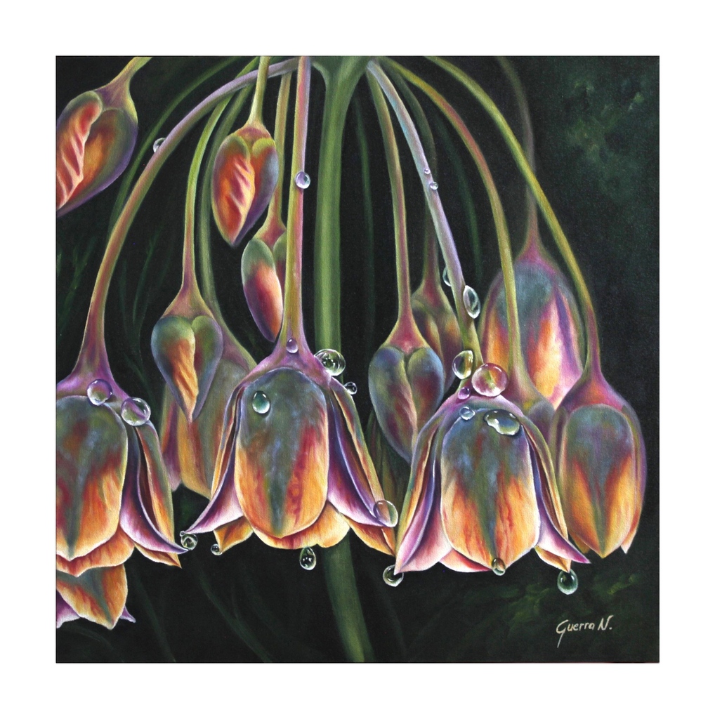 EmbajadoresArte's tweet photo. Title: Lozania
Artist: Ligia Patricia Guerra
@arte_guerran
Medium: Oil on canvas
Dimensions: 24" x 24"
#EmbajadoresdelArte #oilpainting #oiloncanvas #oilart #naturepainting #oilartwork #artistsoninstagram #flowergram #flowerpainting #artoftheday #floralart #flowerpainter https://t.co/2jzpkaDfpA