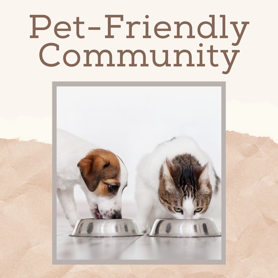 Home is where the dog (or cat) is! So make your new home here, because we are pet-friendly! 🐾