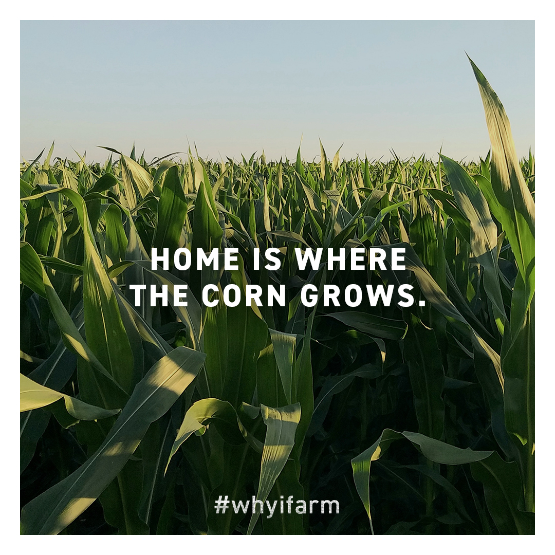 Home is where the heart is? 
More like, home is where the corn grows. 
#whyifarm