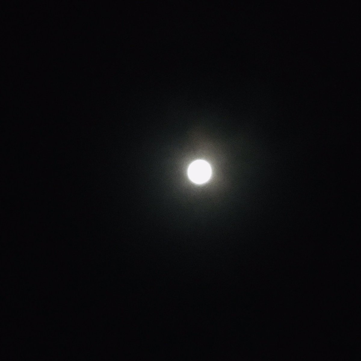 TheShaemaKhan's tweet photo. #supermoon #RedBloodMoon #BloodMoon #LunarEclipse2021 #SuperBloodMoon #EclipseLunar #fullmoon # https://t.co/to9GKNKN82