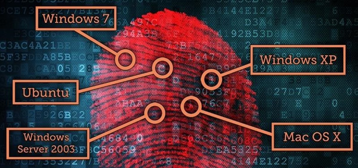 three_cube's tweet photo. Target Reconnaissance: Using p0F to Determine the Target's Operating System (OS) #p0f #recon #cybersecurity #cyberwarrior
https://t.co/64POjtykfh https://t.co/sQXpgpqRdl