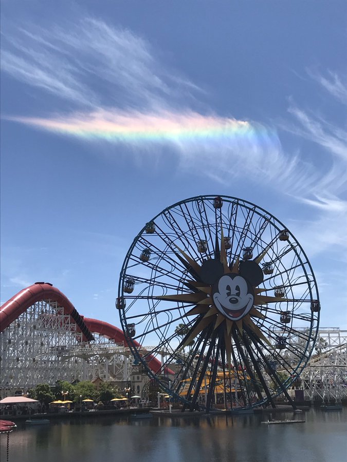 子育て コロナ禍のカリフォルニアディズニーはどんな感じ ちょぼちょぼ育児 アメリカ