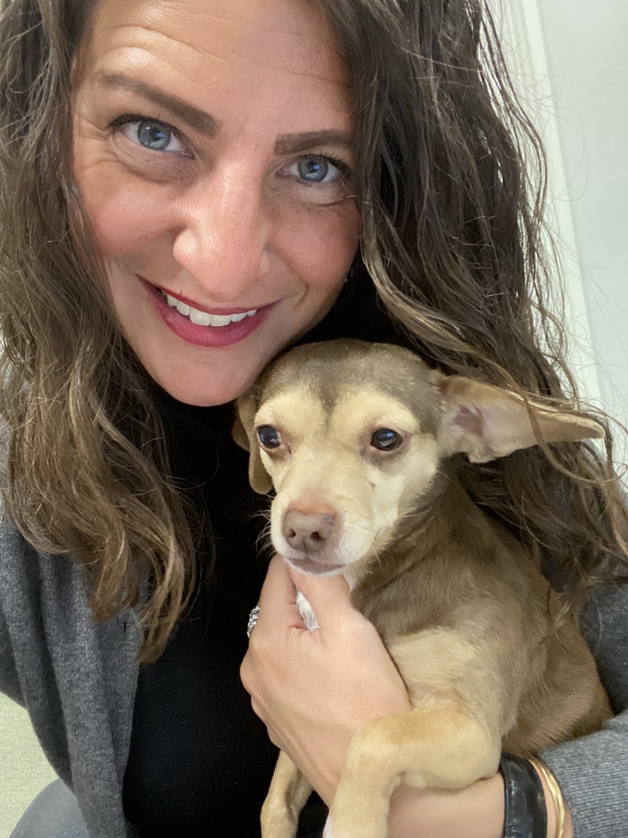 MWiesz's tweet photo. @RubinReport Me and sweet Sofia Loren checking right in and fighting for true liberals on a tiny Cleveland radio show 2 nights/week!!! 🐶🙋🏻‍♀️ https://t.co/j2bQAaMIMr
