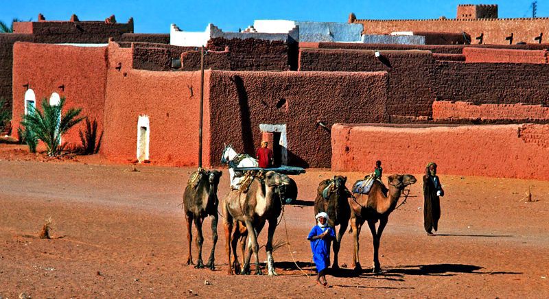 Arabbeau's tweet photo. Red Oasis - Algeria https://t.co/JRsZWVUNoD