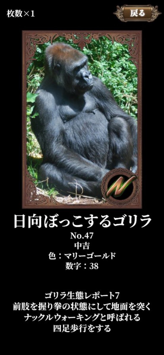 ゴリラポイント Gp を貯めゴリラをコレクション ゴリラ小説も読めちゃう シュール過ぎる ゴリラアツメ の中毒性がすごい Togetter