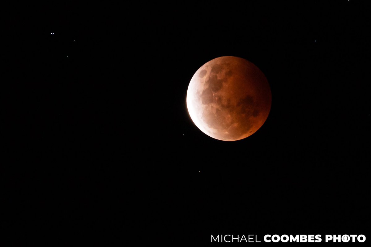 Michael Coombes tweet media