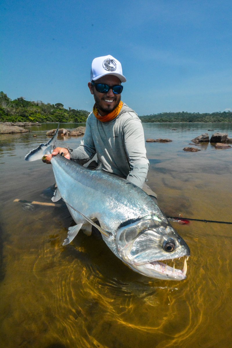 Xingu Lodge tweet media