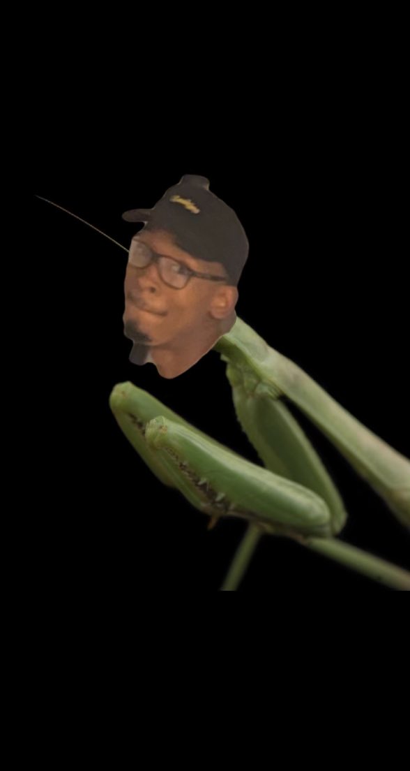Look at my little praying mantis <a href="/B_McMillon/">Brandon</a>