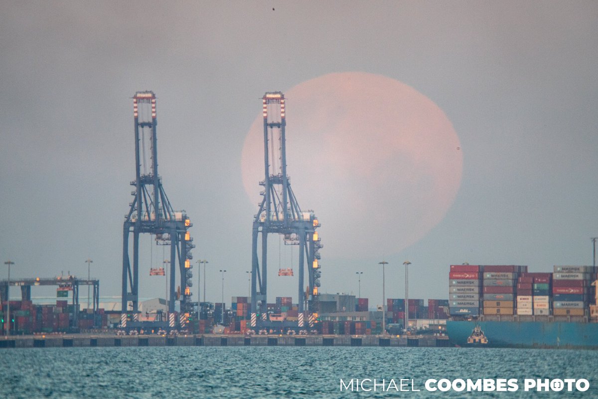 Michael Coombes tweet media