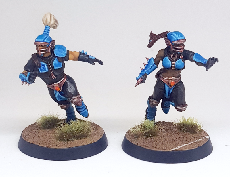 Finished up the rest of the Amazons for #bloodbowl sevens - Macaws and Effect! The blitzers having colourful hair was enjoyable to paint, and the team captain has clearly been blessed by Sotek for her efforts on the pitch! #WarhammerCommunity