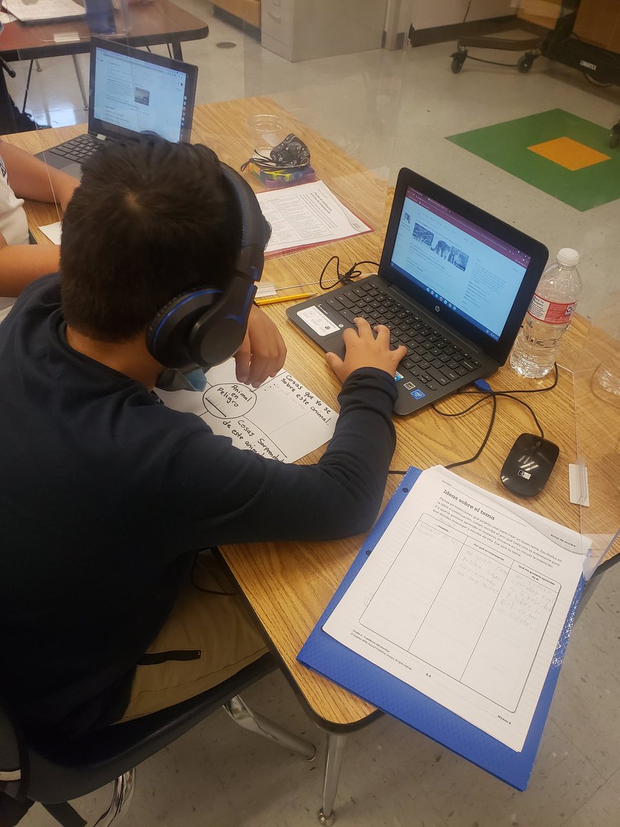 atenas_vallado's tweet photo. To finish our school year strong.. we started a research project on an animal in danger of extinction... students are working on their inquiry skills while having fun learning interesting facts! @BEMustangPride #BarringtonStrong 
We are limitless! https://t.co/98L3pTOBzI