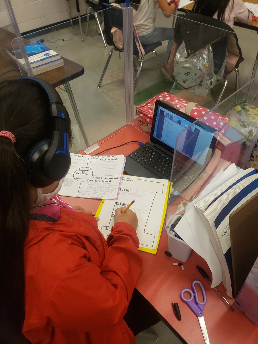 atenas_vallado's tweet photo. To finish our school year strong.. we started a research project on an animal in danger of extinction... students are working on their inquiry skills while having fun learning interesting facts! @BEMustangPride #BarringtonStrong 
We are limitless! https://t.co/98L3pTOBzI
