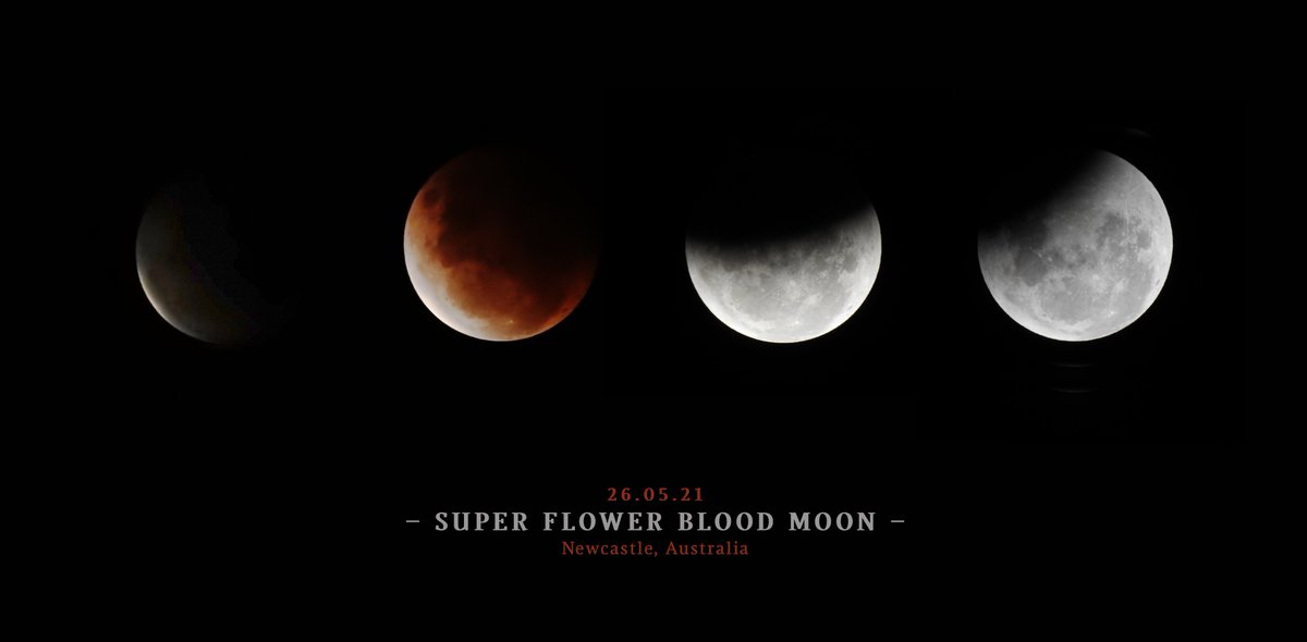 Super blood moon eclipse from my backyard in Newcastle, Australia.

#supermoon #SuperBloodMoon #australia #moon