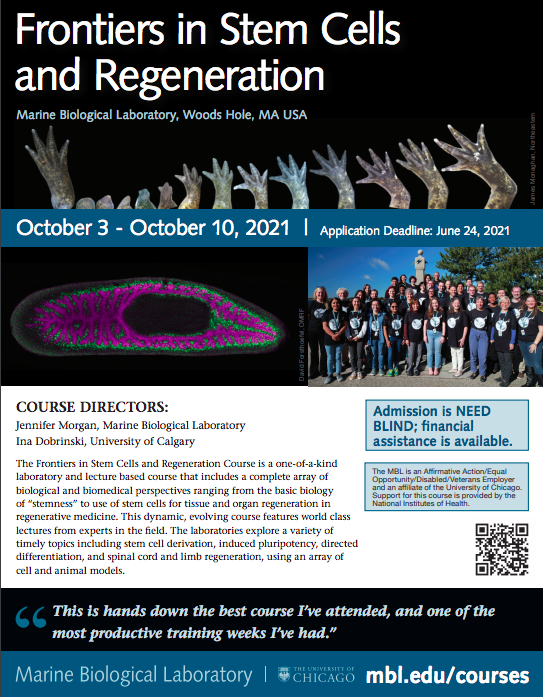 LabibRouhana's tweet photo. One month to apply to the Stem Cells and Regeneration course @MBLScience

In person!
Financial assistance is available!

I participated in this course as a student 8 years ago and it helped me (and continues to do so) grow intellectually, technically, and professionally.

Apply!! https://t.co/xQsTx2CbQP