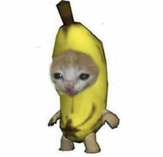 @Genderlessgurl https://t.co/o3g9lK1xQC<a class="tags" target="_blank" title="On Twitter" href="/?out=eyJ0eXAiOiJKV1QiLCJhbGciOiJIUzUxMiJ9.eyJpYXQiOjE3MjczNTg0MzksImlzcyI6InR3cG9ybnN0YXJzLmNvbSIsIm5iZiI6MTcyNzM1ODQzOSwiZXhwIjoxNzU4ODk0NDM5LCJyZWRpcmVjdF91cmwiOiJodHRwczovL3R3aXR0ZXIuY29tL0dlbmRlcmxlc3NndXJsIn0.ZlCJOW31Tre-kvIr1lfNZaLr24NnRn9xzuyQ8ehPKnj0hhW1KCsBI-qlXBKkUF7JOMpPrwxregVyPtVvzT5lSg">@Genderlessgurl</a>