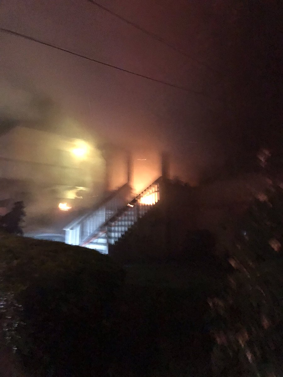 Francesca Nicosia PhD tweet media