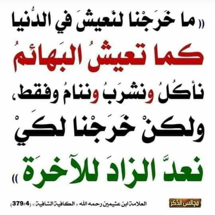 Binothaymeen's tweet photo. قال الإمام #ابن_عثيمين "رحمه الله":

"ما خرجنا لنعيشَ في الدنيا كما تعيشُ

البهائم نأكلُ ونشربُ وننامُ فقط !

ولكن خرجنا لكي نعدَّ الزادَ للآخرة".

شرح ﺍﻟﻜﺎﻓﻴﺔ ﺍﻟﺸﺎﻓﻴﺔ [379/4]. https://t.co/3lHATAdZwn