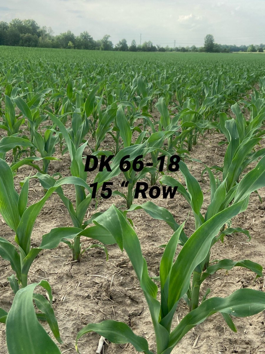 jp_fosse's tweet photo. 2 separate fields, 2 separate counties both turning up the heat and challenging for #yieldchaser https://t.co/fBoVI2WZsn