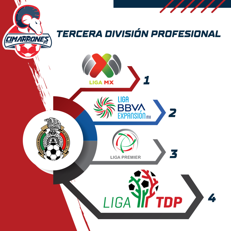 Cimarrones de Sonora on Twitter "Cimarrones nos encontramos en el grupo 13, donde están equipos