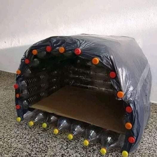 SuavesLomitos's tweet photo. ¿Y sí todos nos ponemos a hacer casitas para Lomitos sin casita con materiales reciclados? ♻️ Ayúdanos al mundo y a los Lomitos 🐶 https://t.co/14DSlFN2wA