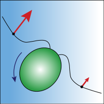 BppbSeminar's tweet photo. #BPPBSeminar Fri May 28 at at 8 am PDT/11am EDT/5 pm in central Europe/8:30 pm in New Delhi.

Regulation of cytoplasmic density - Fred Chang

Traffic jams and U-turns: Motility of swimming cells in viscosity gradients - Jeffrey Guasto

Details - https://t.co/M3vQcF7VI9… https://t.co/SdXTtLOxJj