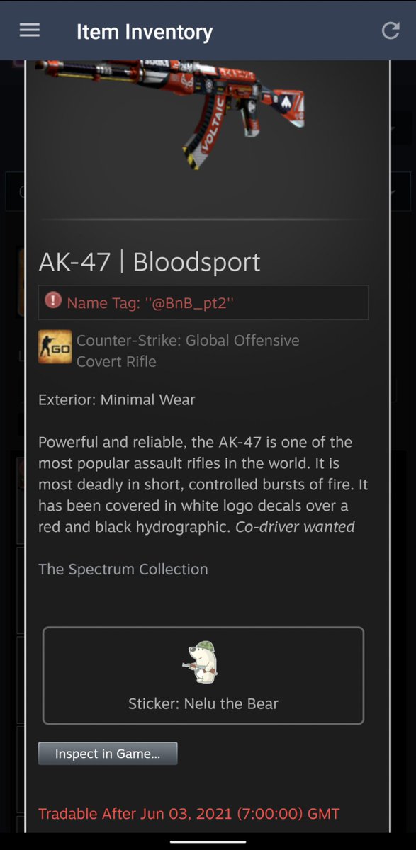 Bad News Bears 🐻 tweet media