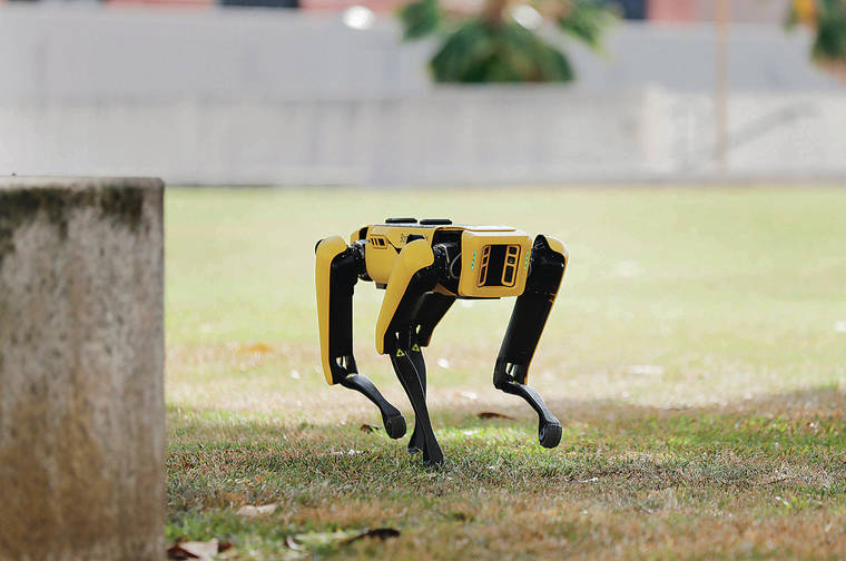 David Shapiro Honolulu police robo dog plays mean game of fetch with tax dollars