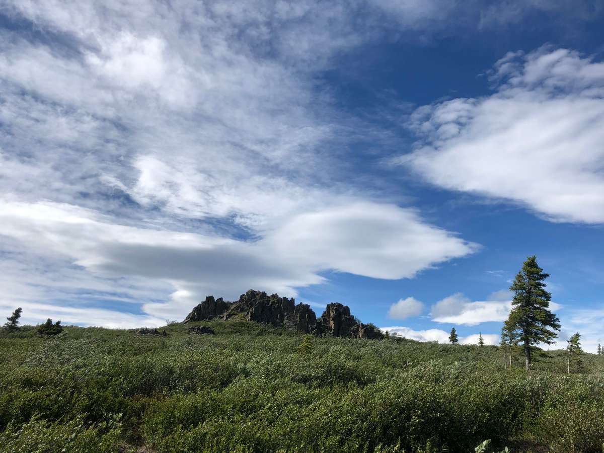TriumphGoldCorp's tweet photo. Tors along the access road to the Tinta Deposit.
$TIG $TIGCF #Mining #Metals #PreciousMetals #Copper #Gold #GoldMining #JuniorMining #MineralExploration #TintaHill #AccessRoad #FreegoldMtnProject #DawsonRange #Yukon https://t.co/JlUzhC9fSc