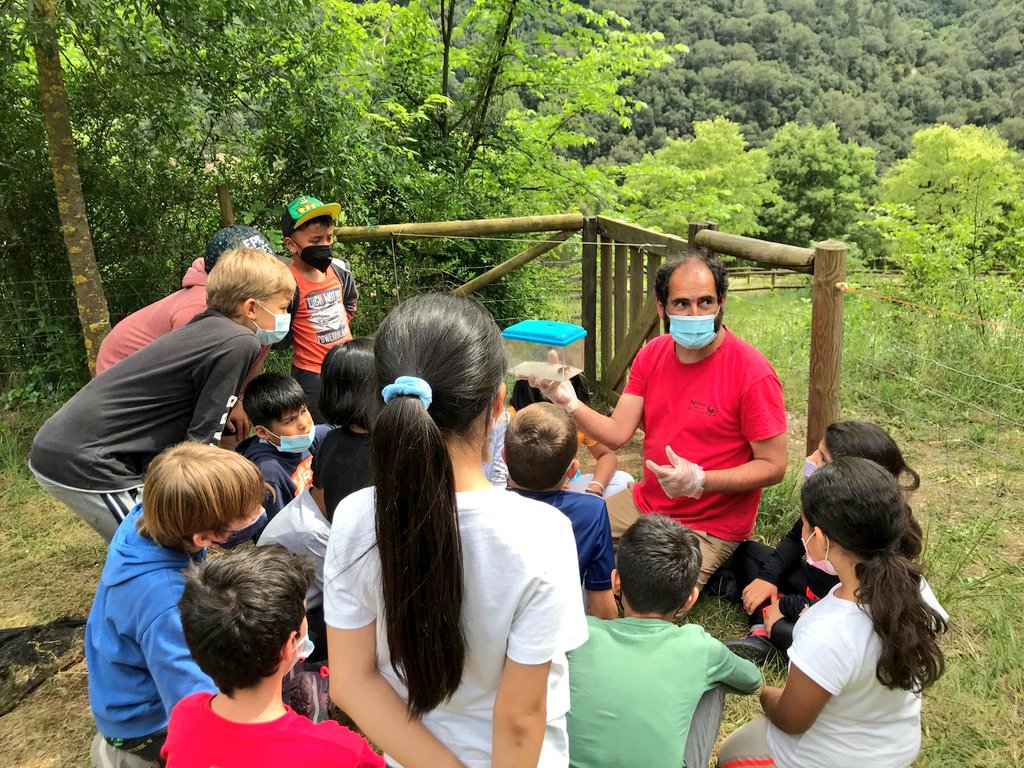 EAnglesola's tweet photo. Primer dia a la #RectoriaDeVallcarquera superat! Tot resseguint el riu hem anat descobrint la #FloraIFauna que ens envolta amb @apren_serveis. #MontsenyAllAround #EmocióEverywhere #ColòniesPerTothom https://t.co/lj1jaW9WM5